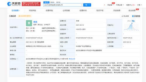 大眾、一汽、江淮等聯(lián)手，武漢開邁斯新能源科技公司成立聚焦新興能源技術(shù)研發(fā)